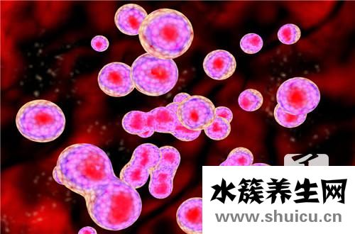 嗜酸性粒細胞偏高