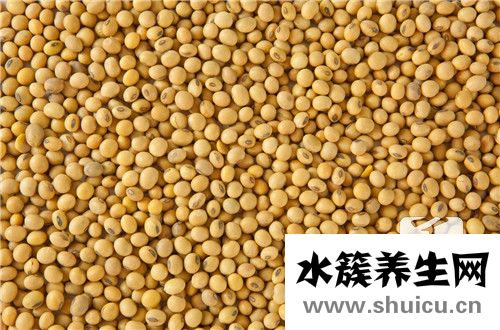 炒黃豆的功效與作用