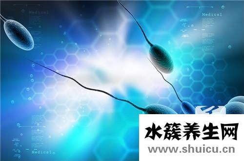 精子是什么味道