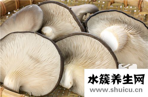 香菇燉雞湯的做法