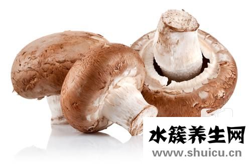 香菇燉雞湯的做法