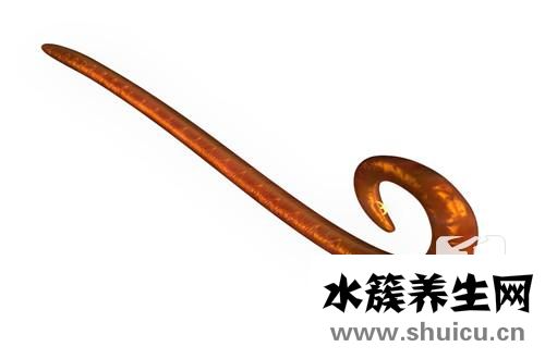 肚子里有蛔蟲的癥狀