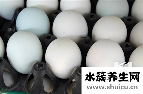 吃鵝蛋有什么好處