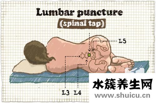 神經調節的基本方式
