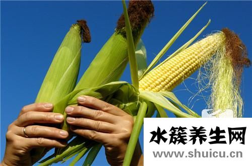 煮玉米需要多長時間