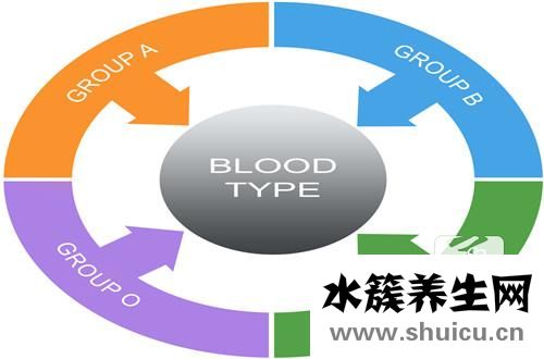 血型遺傳規(guī)律表