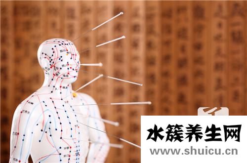 風(fēng)池穴位置