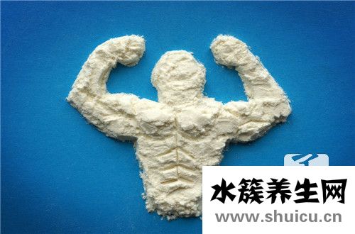 蛋白質合成場所