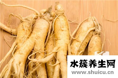 西洋參黃芪泡水喝禁忌