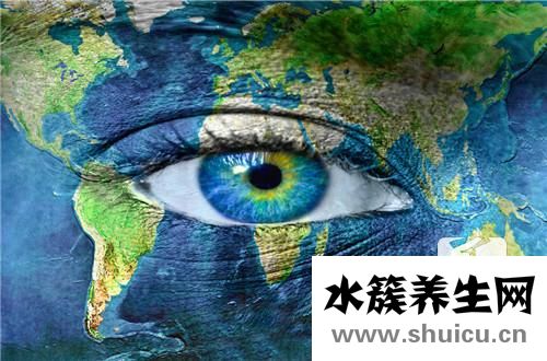 預防近視的食物