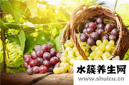 咳嗽能吃葡萄嗎