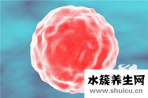 小兒輪狀病毒幾天能好