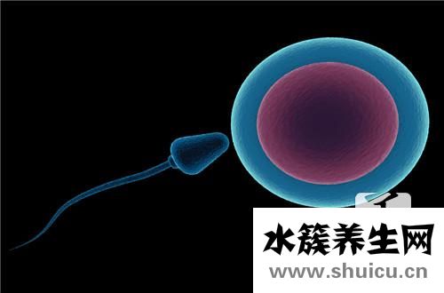 著床出血會持續(xù)幾天