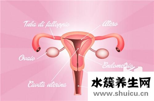 子宮前位好還是后位好