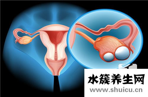 卵泡長(zhǎng)得慢