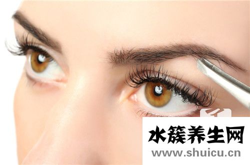 霧眉三年后消失圖片