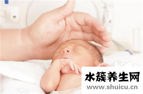 產婦可以吃燕窩嗎