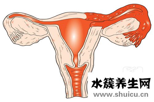 懷孕還會排卵嗎