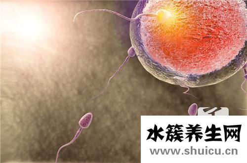 受精卵著床會肚子疼嗎