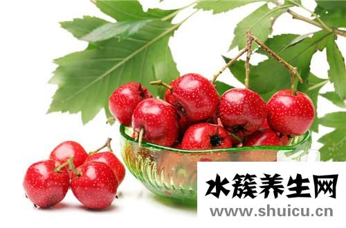 胰腺炎吃什么食物好