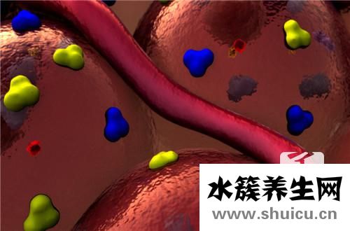 青筋是什么血管