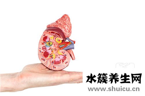 腎結(jié)石注意事項