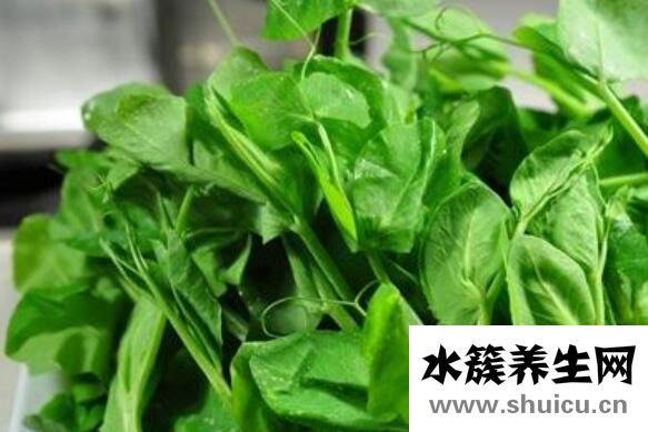 豌豆尖的功效與作用