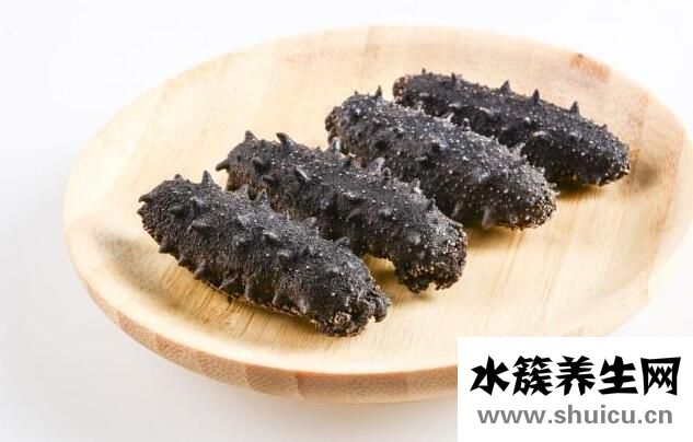 海參的功效與禁忌