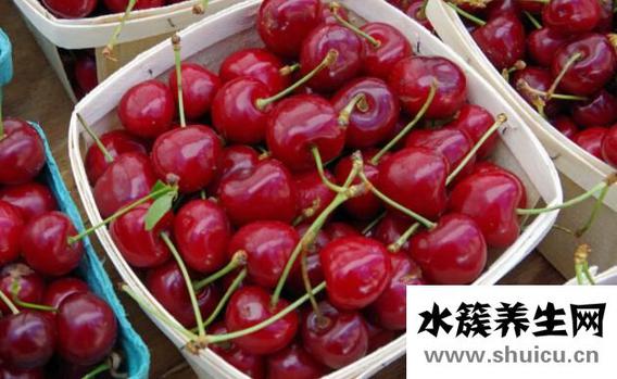 提高孕酮的最佳食物