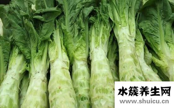 萵苣的功效與作用禁忌