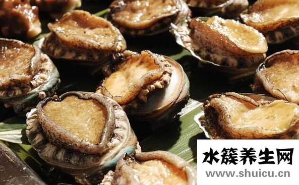 鮑魚的功效及禁忌