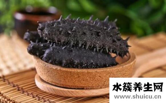 什么病不能吃海參