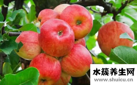 吃什么降膽固醇最快