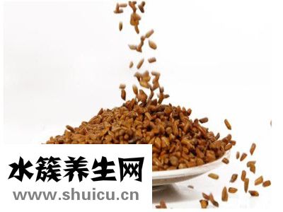 決明子和什么搭配最好