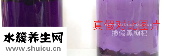 真假黑枸杞對比圖