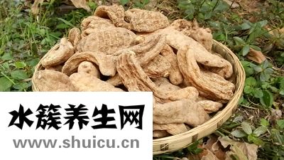 天麻的作用與功效