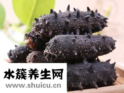 干海參如何保存