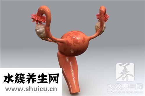 息肉手術后要休息幾天