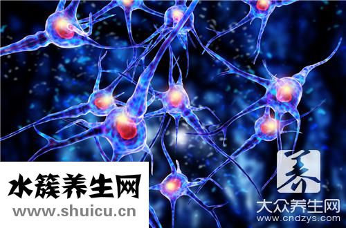 交感神經(jīng)興奮表現(xiàn)