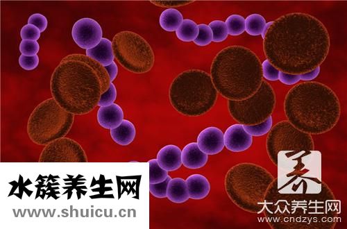 乙型溶血性鏈球菌