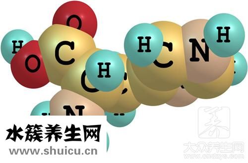 谷轉氨酶偏高原因