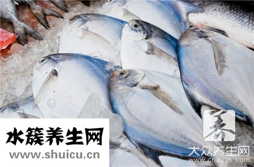 魚(yú)有舌頭嗎