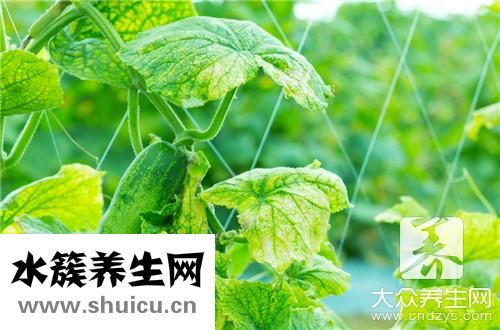 雞血藤手鐲有什么功效