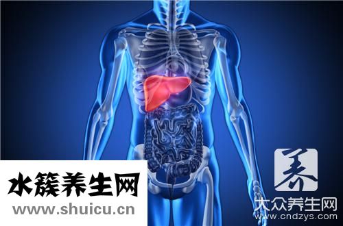 肝功能是檢查什么