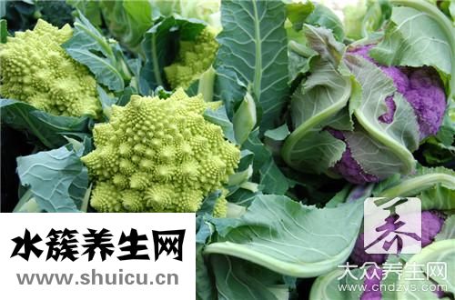 臥室養什么花好