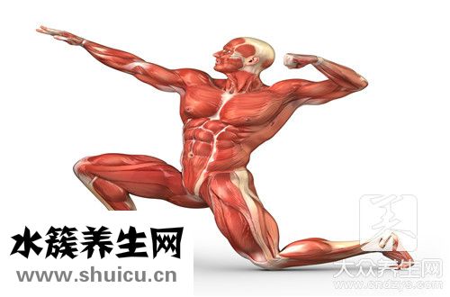 肌肉酸痛原因
