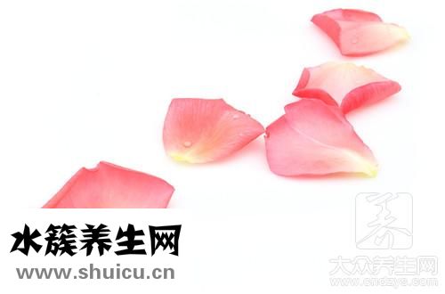 干玫瑰花泡水放幾顆