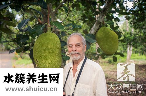 菠蘿蜜什么時候成熟