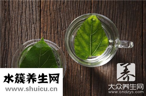 苦丁茶治脫發(fā)