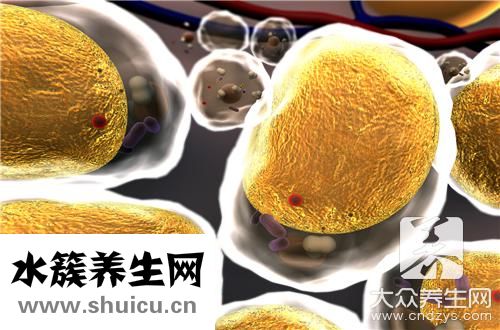 多少熱量等于一斤脂肪